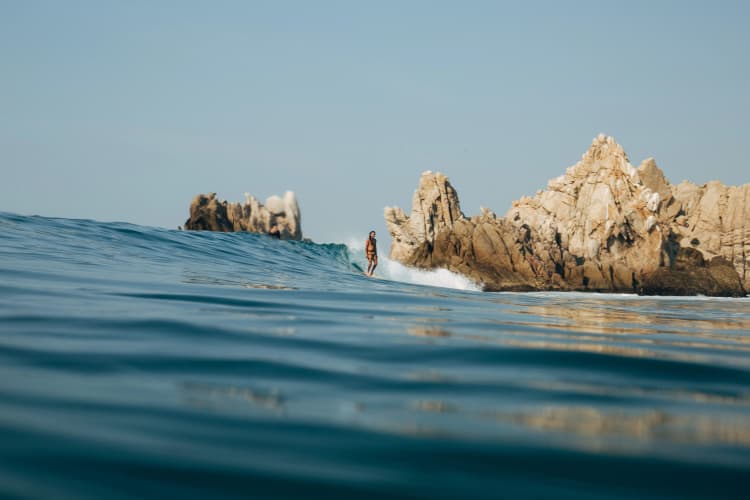 Surf